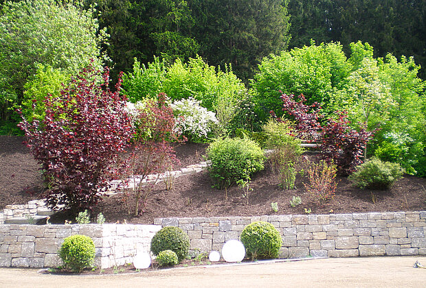 Schellhorn Aussenanlagen Gartenbepflanzung einer Gartenanlage
